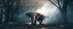 Periyar